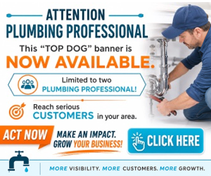 300px x 250 advertising position